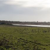 Henham Marshes