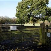 Kelsale cum Carlton - Recreation Ground