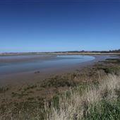 Snape Marshes