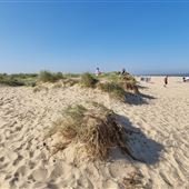 Southwold Denes Beach