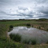 Black Bourn Valley