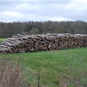 Bruisyard Meadow and Log Pile