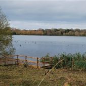 Lackford Lakes
