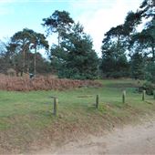 Sutton Heath