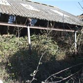 Bruisyard Derelict Barns