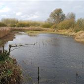 Lakenheath Fen Nature Reserve
