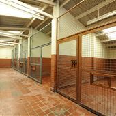 Bentwaters Kennels