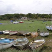 Lower Holbrook