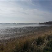 Nacton Shore