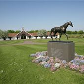 The National Stud