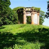 Martley Hall Stud and Arena Woodland and Grounds