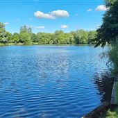Needham Lake