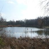 Hillhouse Farm - Cookley Lake