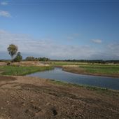 Oulton Marshes
