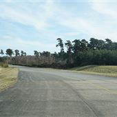 Virginian style rural road