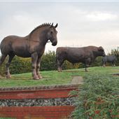 Trinity Park - Grounds