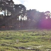 Dunningworth Hall Farm