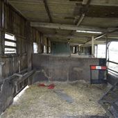 Newton Hall - Outbuildings