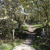 Arger Fen