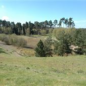 Bentwaters SW Development