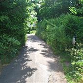 Bungay Castle and Parks