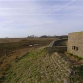 RSPB Hollesley Marshes