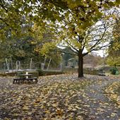 Chantry Park