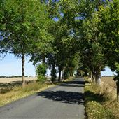 Cavendish Lane