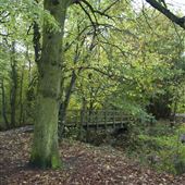 Haverhill East Town Park