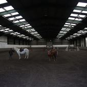 Newton Hall Equestrian Centre