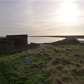 RSPB Boyton Marshes