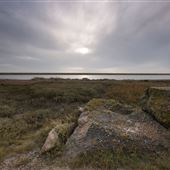 Simpson's Saltings