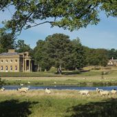 Sibton Park