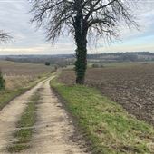 Potts Farm - Farmland