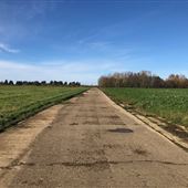 Shrimpling Farm grass airstrip