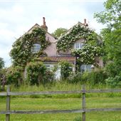 The Pink Cottage