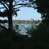 Pin Mill Wood
