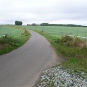 Rural Roads, Higham