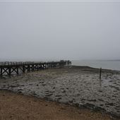 Shotley Penisula